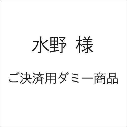 水野 様　ご決済用ダミー商品